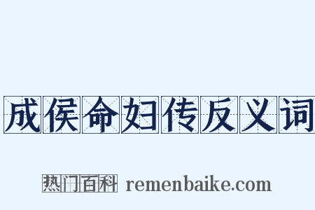 成侯命妇传反义词是什么意思的图片